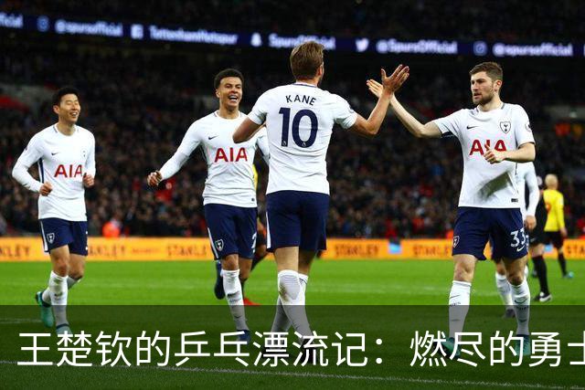 王楚钦的乒乓漂流记：燃尽的勇士与艰难的胜利